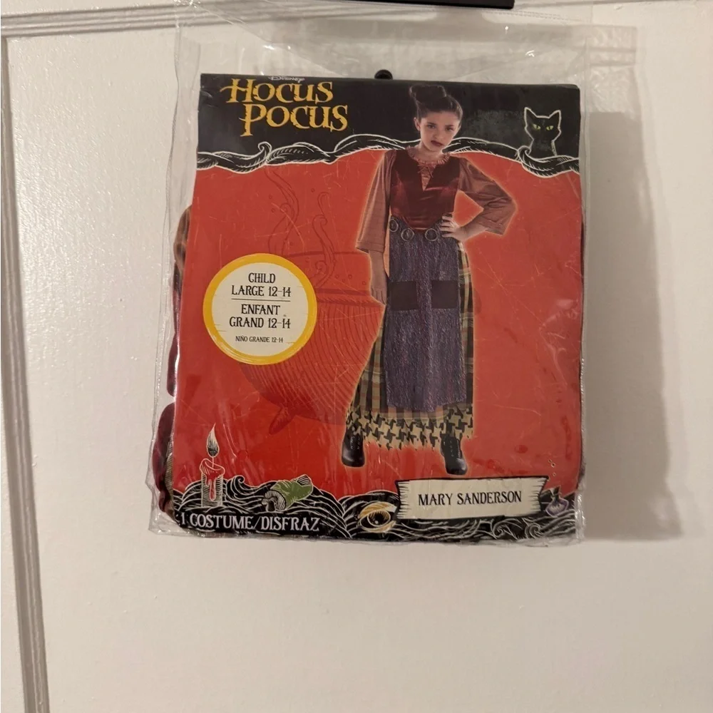 Mary Sanderson Hocus Pocus Kids Costume Large NWT